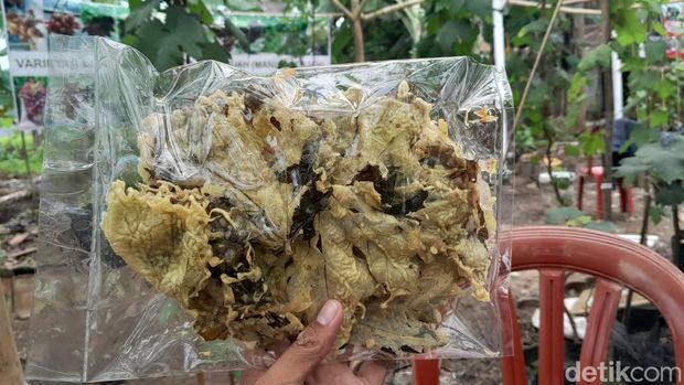 Keripik daun anggur di Pangandaran.