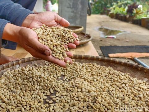 Kopi Ciwidey.