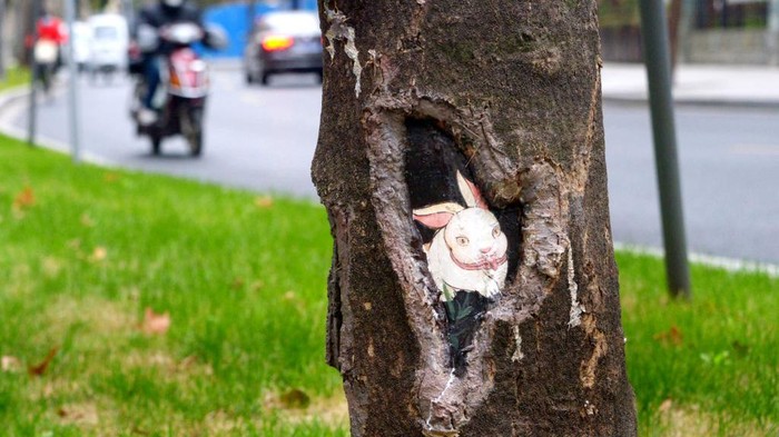 Biasanya, lubang pada pohon seringkali jadi sarang semut. Berbeda dengan pohon yang ada di Shanghai, China ini, disulap menjadi lukisan hewan yang menggemaskan.