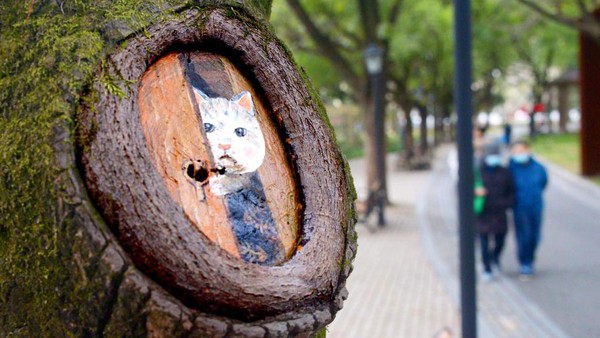 Selanjutnya di salah satu pohon dilukis dengan gambar kucing yang sedang mengintip. Bikin gemas ya..