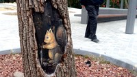 Di pohon yang lain, tampak dilukis dengan gambar seekor tupai yang menggemaskan.  