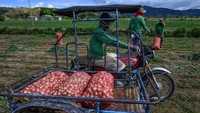 Akibat kenaikan harga itu, otoritas Filipina bahkan menyita pengiriman bawang merah ilegal. Pada awal Januari, bawang senilai US$310.000 (Rp4,6 miliar) dari China dicegat karena hendak diselundupkan dengan label sebagai pakaian.  