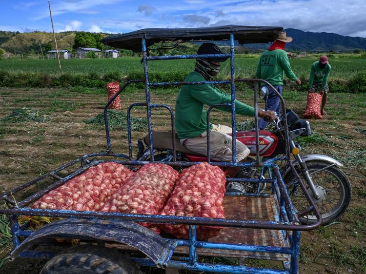 Bawang Jadi Barang Mewah di Filipina, Harganya Lebih Mahal dari Ayam