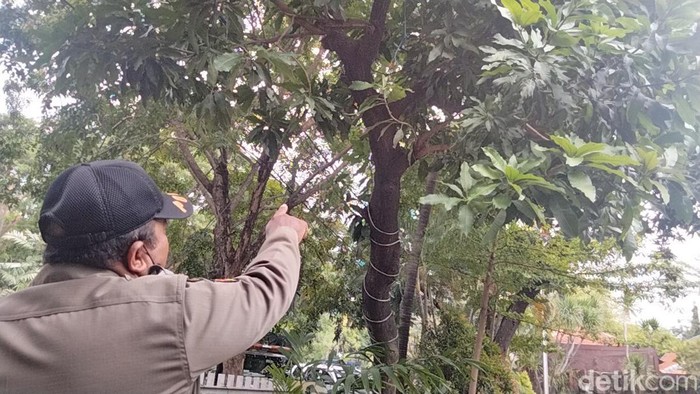 lokasi percobaan bunuh diri di pohon mangga depan polsek gubeng
