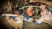 Menu pertama buatan Peggy, ada pepes ikan mas yang terlihat penuh rempah. Selain enak, menu ini sudah pasti sehat.