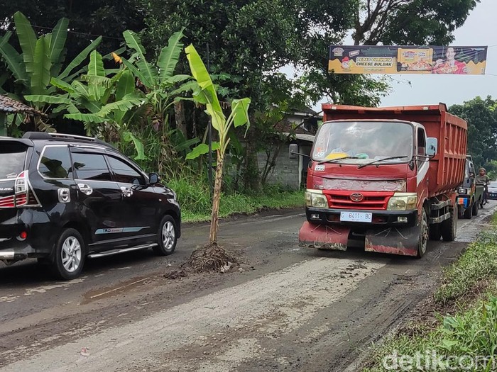 Pohon pisang ditanam warga di tengah jalan berlubang di Banyurejo, Tempel, Sleman, DIY. Dipotret pada Jumat (3/2/2023).