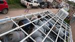Peru Krisis Gas Imbas Demo Menuntut Presiden Mundur