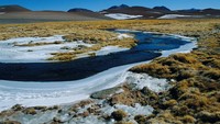 Laguna Tara. Di ketinggian lebih dari 4.300 meter, Laguna Tara, dekat San Pedro de Atacama di Chili, merupakan kawasan yang dipenuhi satwa liar, termasuk flamingo dan rubah Andes. Getty Images