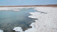 Salar de Llamara. Di ketinggian yang jauh lebih rendah, hanya 1.000 meter di atas permukaan laut, Salar de Llarama berada di jantung zona terkering Atacama. Danau ini terkenal dengan formasi garamnya dan merupakan salah satu situs di mana biomassa-nya terdiri dari mikroorganisme. Dok. wikidata
