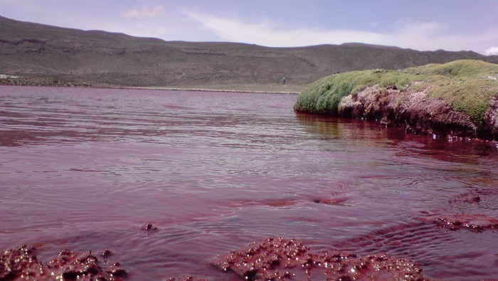 Salar de Atacama dikenal sebagai tempat yang kering di Pegunungan Andes, Chili. Salah satu perairan paling berbahaya dan sumber litium murni terbesar di Bumi.
