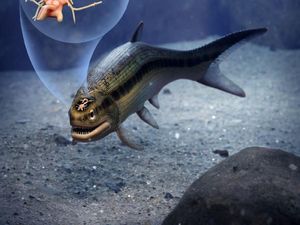 Ilmuwan Teliti Otak Ikan Berusia 319 Juta Tahun, Fosil Otak Vertebrata Tertua