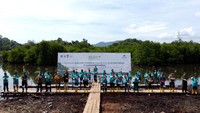 Wakil Presiden Direktur PT Agincourt Resources, Ruli Tanio didampingi Pj. Bupati Tapanuli Elfin Elyas Nainggolan dan Ketua TP PKK Tapanuli Tengah, Catherine Elfin Elyas saat melakukan penanaman mangrove di wilayah pesisir Kabupaten Tapanuli Tengah, Sumatera Utara, Kamis (2/2/2023). Sebanyak 30.000 bibit mangrove yang ditanam di lahan 10 hektare dan dibarengi pelepasan puluhan ribu kerang ini hasil kerjasama kolaborasi PT Agincourt Resources dengan Kementerian Lingkungan Hidup dan Kehutanan yang bertujuan melestarikan lingkungan hidup, khususnya wilayah pantai.