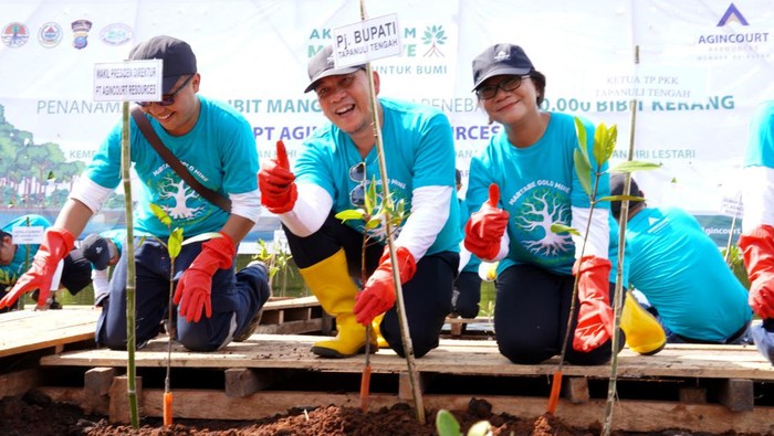 Selamatkan Lingkungan dengan Tanam 30.000 Bibit Mangrove Demi pelestarian lingkungan dan wilayah pantai di Tapanuli Tengah, sebanyak 30.000 bibit mangrove ditanam di lahan seluas kurang lebih 10 hektare.
Penanaman itu juga dibarengi dengan pelepasan puluhan ribu kerang ini hasil kerjasama kolaborasi PT Agincourt Resources dengan Kementerian Lingkungan Hidup dan Kehutanan yang bertujuan melestarikan lingkungan hidup, khususnya wilayah pantai.