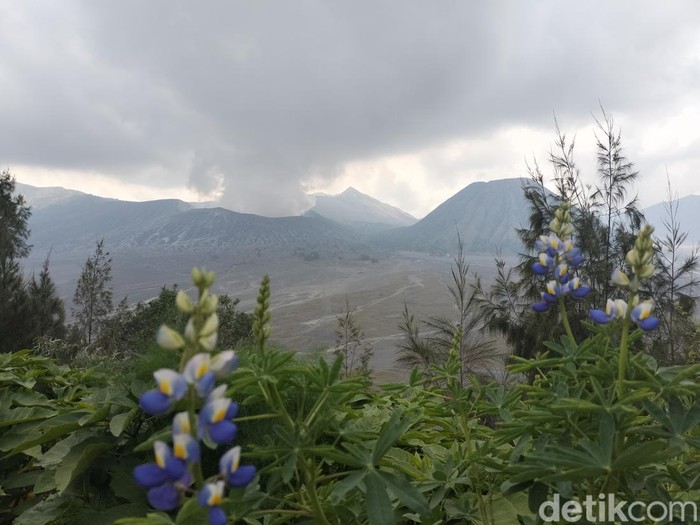 Gunung Bromo yang sedang mengalami peningkatan aktivitas