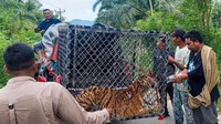 Perangkap tersebut terbuat dari besi berbentuk kotak.
