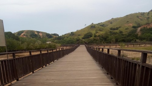 Elevated deck atau jalan jerambah membentang di lembah Loh Buaya Pulau Rinca, Taman Nasional Komodo, Nusa Tenggara Timur, Rabu (1/2/2023).