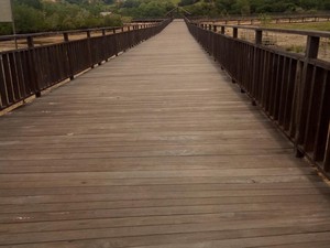 Melihat Komodo dari Jalan Jerambah