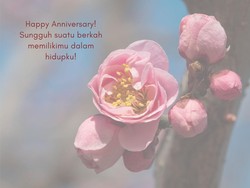 30 Kata-kata Anniversary Pernikahan, Romantis Bikin Pasangan Senyum 30 Kata-kata Anniversary Pernikahan, Romantis Bikin Pasangan Senyum