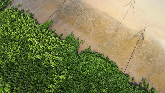 Foto udara kawasan konservasi mangrove di Makassar, Sulawesi Selatan, Sabtu (4/2/2023). Kementerian Kelautan dan Perikanan (KKP) mencatat luas kawasan konservasi laut nasional hingga 2022 telah mencapai 28,9 juta hektare atau 8,7 persen dari total luas wilayah perairan Indonesia dan ditargetkan mencapai 30 persen pada 2045. ANTARA FOTO/Arnas Padda/nym.