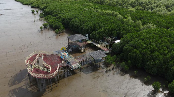 Foto udara kawasan konservasi mangrove di Makassar, Sulawesi Selatan, Sabtu (4/2/2023). Kementerian Kelautan dan Perikanan (KKP) mencatat luas kawasan konservasi laut nasional hingga 2022 telah mencapai 28,9 juta hektare atau 8,7 persen dari total luas wilayah perairan Indonesia dan ditargetkan mencapai 30 persen pada 2045. ANTARA FOTO/Arnas Padda/nym.
