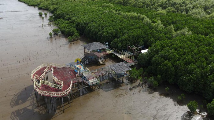 LUAS KAWASAN KONSERVASI LAUT INDONESIA Foto udara kawasan konservasi mangrove di Makassar, Sulawesi Selatan, Sabtu (4/2/2023). Kementerian Kelautan dan Perikanan (KKP) mencatat luas kawasan konservasi laut nasional hingga 2022 telah mencapai 28,9 juta hektare atau 8,7 persen dari total luas wilayah perairan Indonesia dan ditargetkan mencapai 30 persen pada 2045. ANTARA FOTO/Arnas Padda/nym.