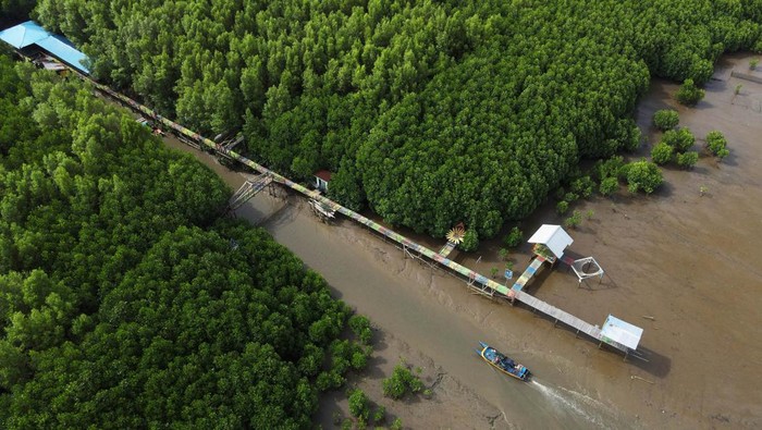 LUAS KAWASAN KONSERVASI LAUT INDONESIA Foto udara kawasan konservasi mangrove di Makassar, Sulawesi Selatan, Sabtu (4/2/2023). Kementerian Kelautan dan Perikanan (KKP) mencatat luas kawasan konservasi laut nasional hingga 2022 telah mencapai 28,9 juta hektare atau 8,7 persen dari total luas wilayah perairan Indonesia dan ditargetkan mencapai 30 persen pada 2045. ANTARA FOTO/Arnas Padda/nym.
