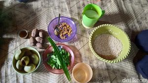 5 Makanan Khas Dayak Bakati yang Bahannya Alami Langsung dari Hutan