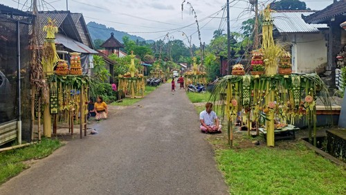 Masyarakat Desa Adat Ngis, Karangasem, Bali, kembali melaksanakan tradisi Aci Gedobong di depan rumah masing-masing, Sabtu (4/2/2023). (Foto: I Wayan Selamat Juniasa/detikBali)