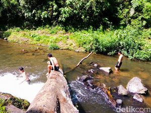 Menjajal Wisata Curug Layung di KBB, Harga Tiket hingga Rutenya