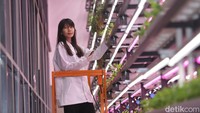 Kegiatan ini bermula dari Dominique yang melihat kurangnya minat masyarakat Indonesia untuk melakukan kegiatan semai menyemai, padahal itu termasuk proses keberlangsungan hidup yang harus tetap dijaga. Jadi menurutnya sustainability sangat penting dan bisa menjadi next generation atau ketahanan pangan Indonesia.