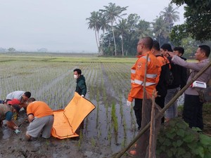 Pria Lansia Dibunuh dan Ditutup Lumpur di Banjar, Pelaku Ditangkap!
