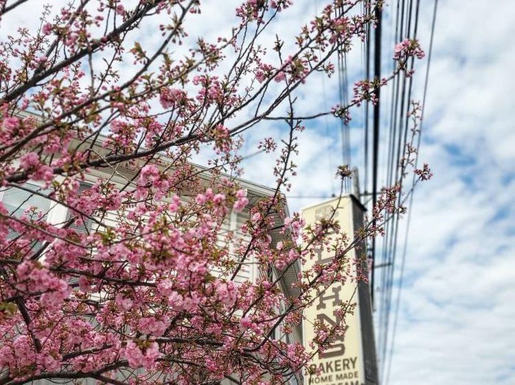 Potret Toko Roti Jadul Legendaris yang Sudah Diwarisi Empat Generasi