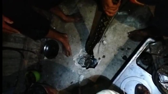 Ular sanca 5 meter di Sinjai, Sulsel saat dievakuasi di rumah warga.