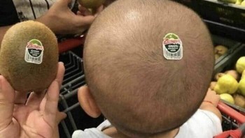 Kirain beneran buah Kiwi, hampir tertipu. Foto: (Bored Panda).