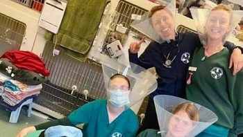 Sebentar, sepertinya kebalik ya? Foto: (Bored Panda).