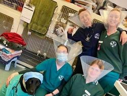 10 Foto Kocak yang Bikin Kalian Ngakak