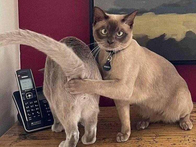 10 Foto Kocak yang Bikin Kalian Ngakak