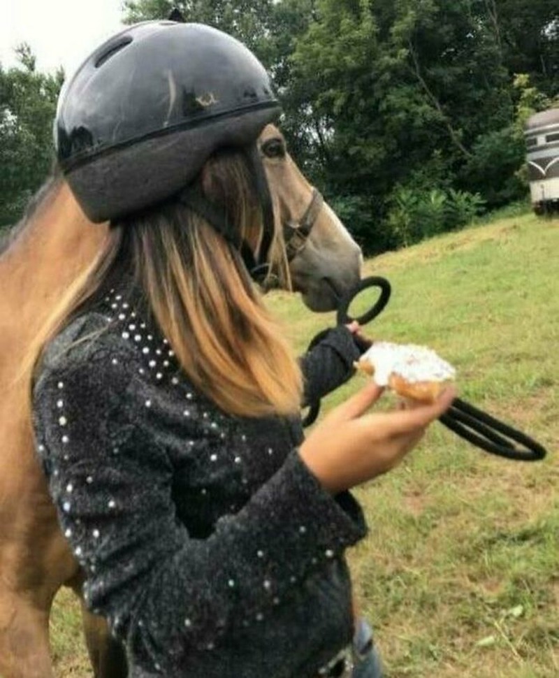 Internet menjadi tempat paling tepat mencari hal-hal lucu yang terekam dalam bentuk foto atau video. Seperti 10 foto lucu berikut, yang dibagikan Bored Panda.