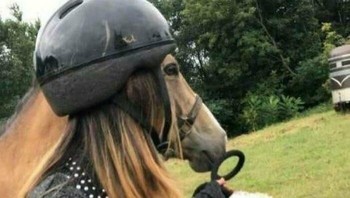 Jangan kaget, itu hanya masalah sudut pandang saja kok. Foto: (Bored Panda).