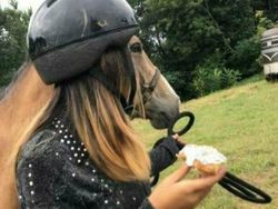 10 Foto Kocak yang Bikin Kalian Ngakak