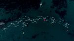 4.000 Peserta Ikuti Acara Renang Laut Terbesar di Dunia