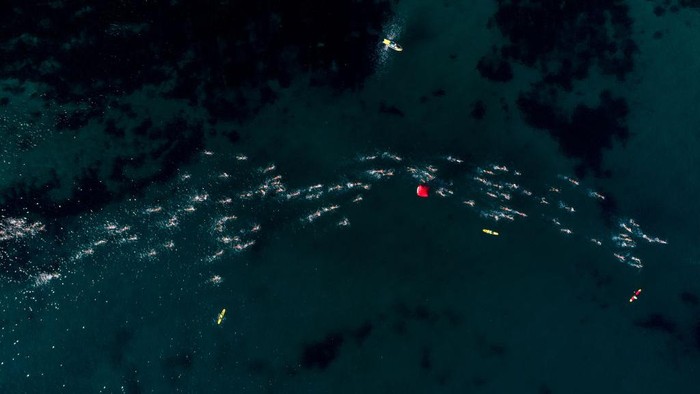 Cole Classic merupakan salah satu acara renang laut terbesar di dunia. Peserta akan berenang dari Shelly Beach ke Manly Beach.