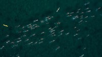Peserta dapat melalui garis start yang di Shelly Beach, renang 5 km membawa Anda ke Freshwater Point, dengan renang 2 km dan 1 km memutar ke utara, sebelum semua jarak berbagi garis finis yang sama di South Steyne.