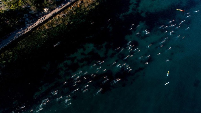 Cole Classic merupakan salah satu acara renang laut terbesar di dunia. Peserta akan berenang dari Shelly Beach ke Manly Beach.