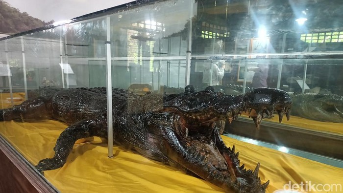 Museum kayu yang berada di Tenggarong, Kukar.