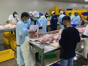 Peternak Ayam Bisa Geber Bisnis Makin Moncer, Begini Caranya