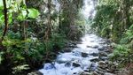 Kesejukan Alami dari Pulau Bacan, Tak Ada di Kota Besar