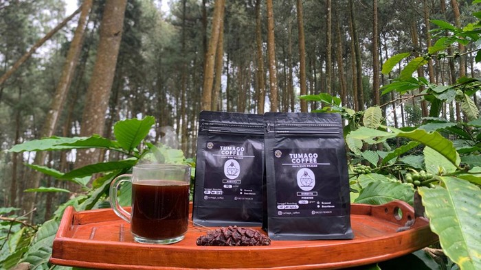 Tumago, kopi jenis robusta asli Desa Jlegong, Temanggung. Foto diunggah Minggu (5/2/2023).