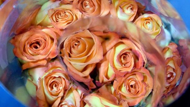 Nama Valentine digunakan pada Hari Valentine atau Hari Kasih Sayang. Hari Valentine dirayakan sebagian masyarakat di dunia pada 14 Februari setiap tahunnya.