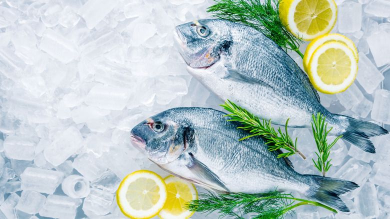 Agar Awet, Hindari 5 Kesalahan Menyimpan Ikan di Freezer Ini